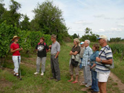 Pedagogic plot for wine tourism