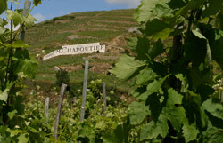 Michel Chapoutier oeuvre pour la qualité des vins