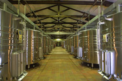 stainless steel vats