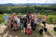 Wine tourism at Château de Bellevue