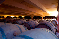 Barrel cellar of the Château of l'Hospitalet