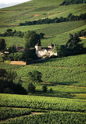 Oenotourisme au château Thivin