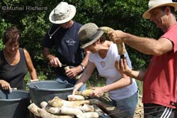 L'oenotourisme curieux de biodynamie