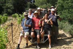 horn manure preparation