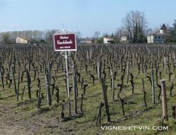St. Emilion wine tourism, vignes-et-vin.com
