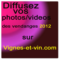 diffusez vos photos vidéos des vendanges 2012