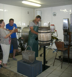 Learn the methods of winemaking in Champagne