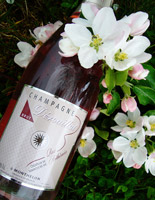 Champagne Dérouillat founded in 1929:Pink Champagne Arthémia