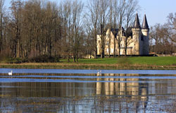 Pond and Swan at Château d'Agassac
