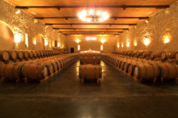 A huge barrel cellar
