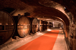 Underground Cave for wine tourism
