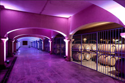 The barrel cellar of l'Hospitalet