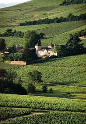 Wine tourism at château Thivin