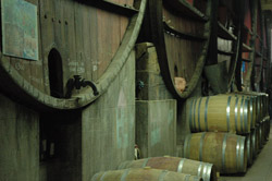 Red wines are aged on lees in a selection of French Oak barrels