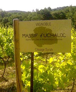 The vineyards of Uchaux Massif is composed of 22% Syrah